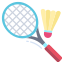 Badminton Court